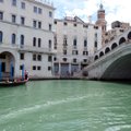 В Венеции туристам стало так жарко, что они решили искупаться в Большом канале. Теперь их ждет большой штраф и запрет на посещение города