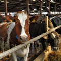 Eucolait aastakoosolekul analüüsiti piimaturu olukorda