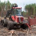 Vargapaar rüüstas Põlvamaal metsatöömasinaid