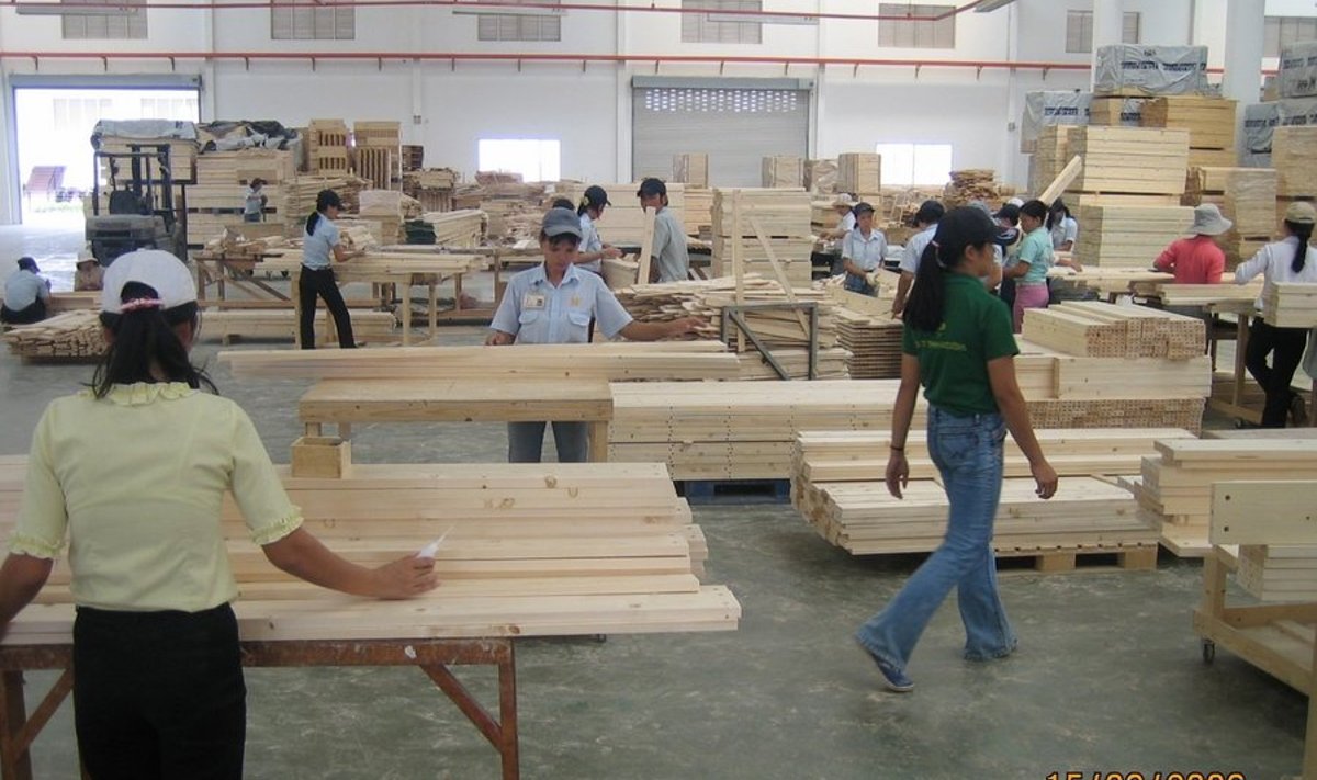 Nii käib töö mööblitehases Lõuna-Hiina Guangzhou piirkonnas, kuhu Stora Enso tarnib puidumaterjali. Foto: Meelis Lokk