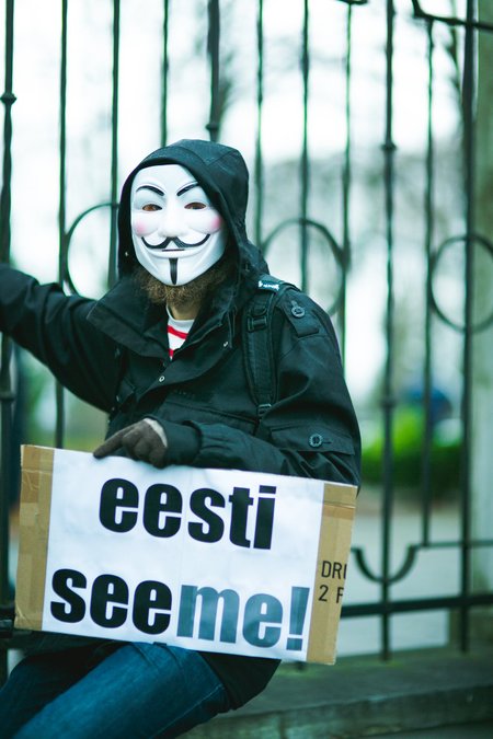Meeleavaldus valeliku poliitika vastu, Tallinnas 17.11.2012