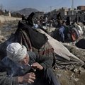 Героин и "мет": с приходом талибов в Афганистане расцвела наркоторговля