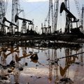 Moskvas vahistati naftafirma TNK-BP tippametnik