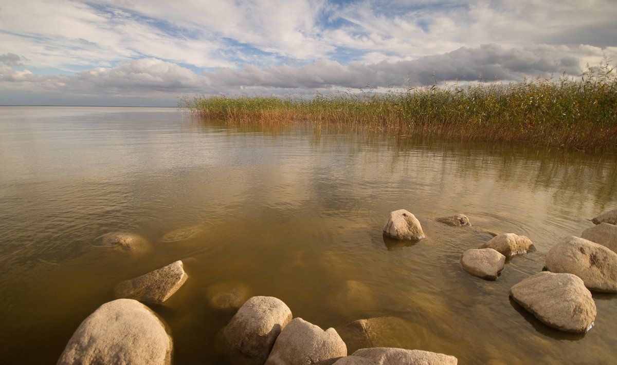 Võrtsjärve ääres