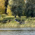 ФОТО | Акваторию реки Пирита приводят в порядок