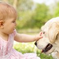 Koerad ja lapsed | Miks koerad hammustavad ja kuidas seda ennetada?