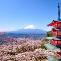 Плати и иди: в Японии введут билеты на доступ к культовой горе Фудзи