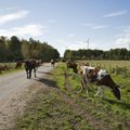Balti riikide põllumehed nõuavad Euroopa Komisjonilt otsetoetuste kiiremat ühtlustamist