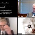 USKUMATU VIDEO | Kass või advokaat? Jurist muutus keset kohtuistungit loomaks