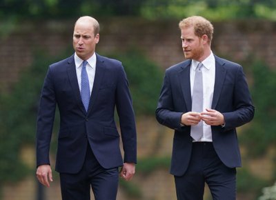 Prints William ja prints Harry aastal 2021