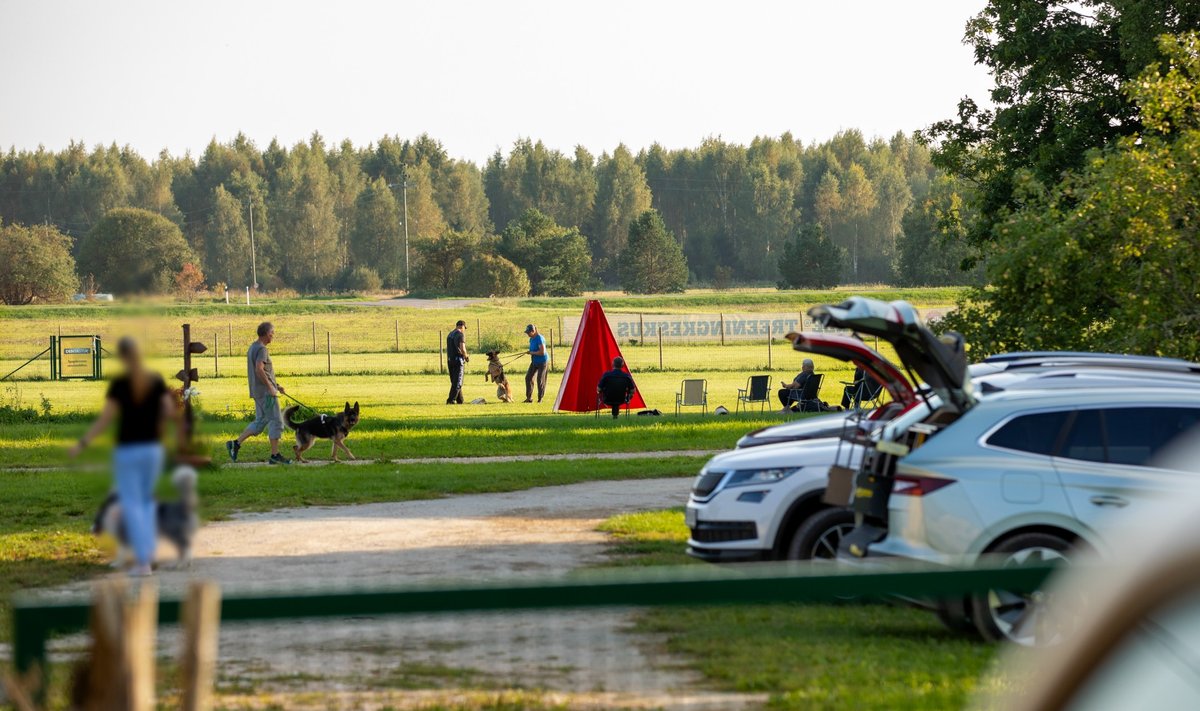 Koerteklubi tegi parkimisplatsi otse Riina Kalami aia taha.