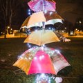 ФОТО | Слепили из того, что было. Смотрите, какие необычные елки установлены в рождественском парке на Певческом поле