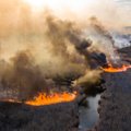 Tšornobõli radioaktiivsetes metsades möllab tulekahju