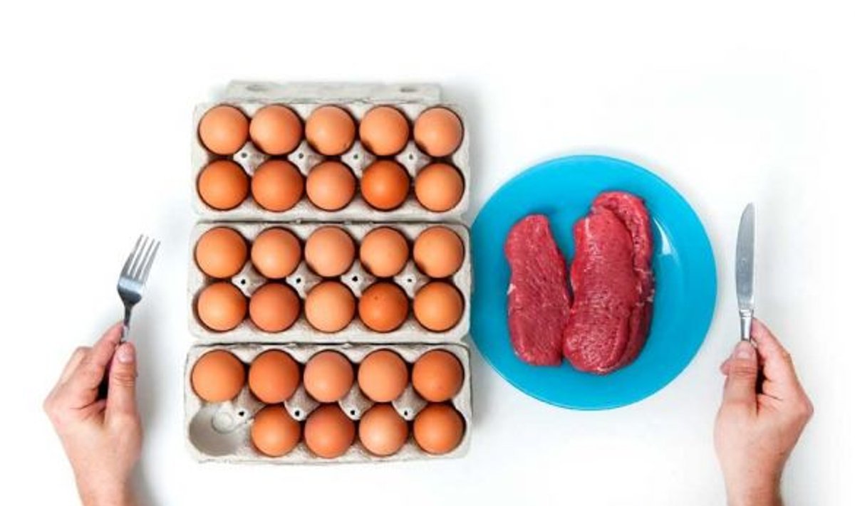 OSA PÄEVA MENÜÜST: Munad hommikuks, 300-400 grammi toorest liha õhtusöögiks. Pildilt on väljas üks greip, selleri-peterselli mahl, piim ja või. (Vallo Kruuser & Birgit Püve)