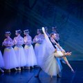 XV Йыхвиский балетный фестиваль представит широкую палитру танцев 