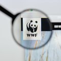 Новые „иностранные агенты“ - Всемирный фонд природы (WWF), экономист Сергей Гуриев и другие