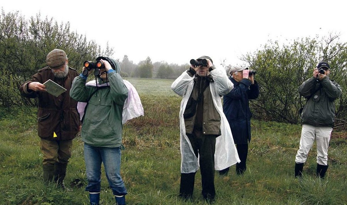 Üks osa looduskaitse seltsi Viljandimaa linnuretkelistest (vasakult): Harri Jaaku, Ülle Randmer, Mihkel Maala,  Endel Edula ja Jaak Jaaku.