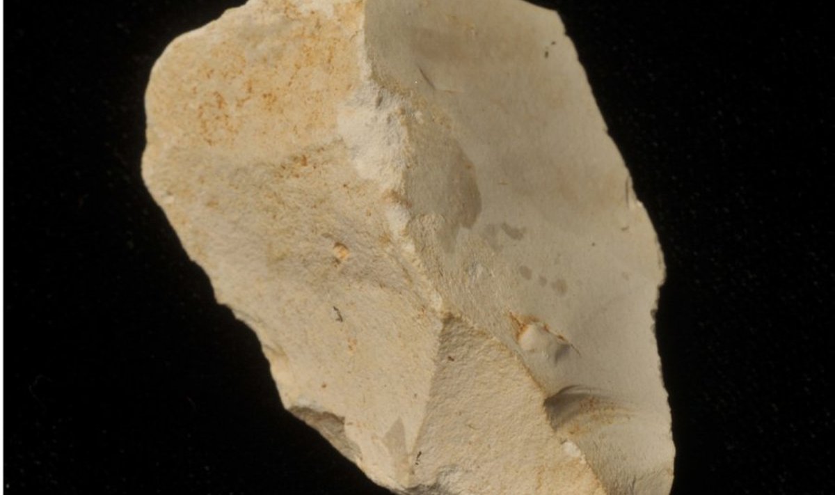 Atapuercast leitud 1,4 miljonit aastat vana kivinuga