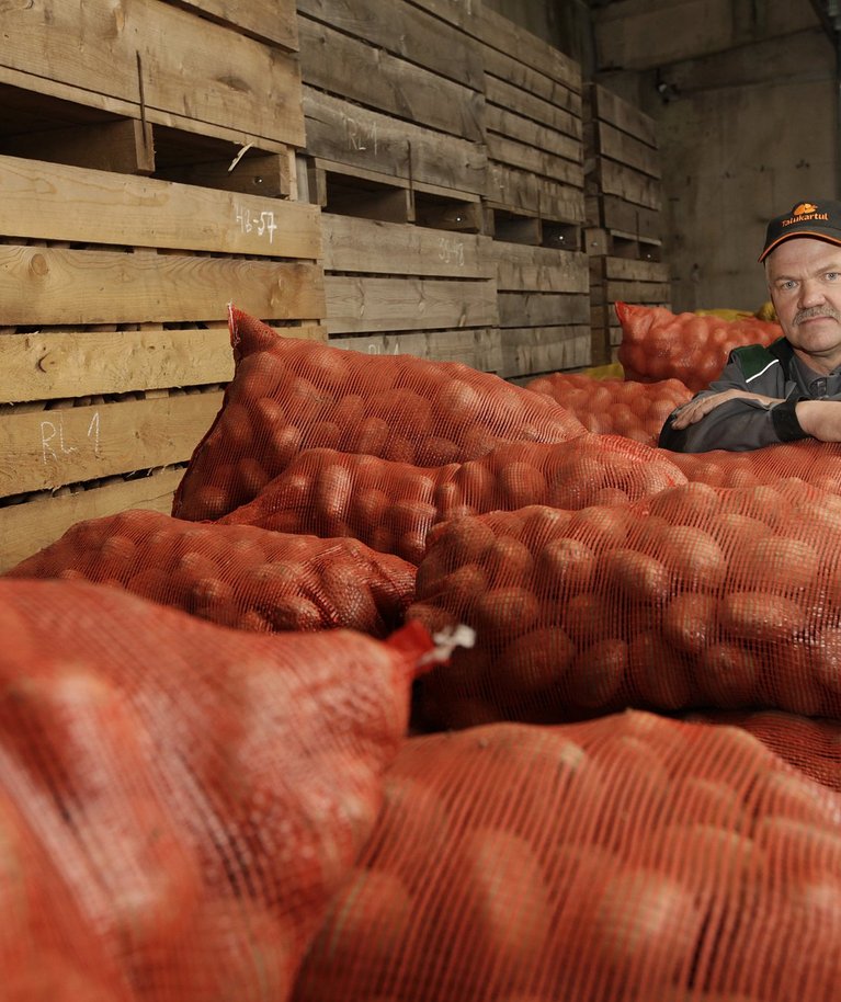 Simuna kartulikasvatajal Gustav Põldmaal on kartulid kottides ja müügivalmis.