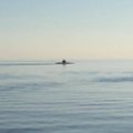 ФОТО: С направлявшегося в Таллинн лайнера Romantika заметили подводную лодку