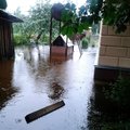 Потоп в садах Кудрукюла: дренажная система не работает как одно целое