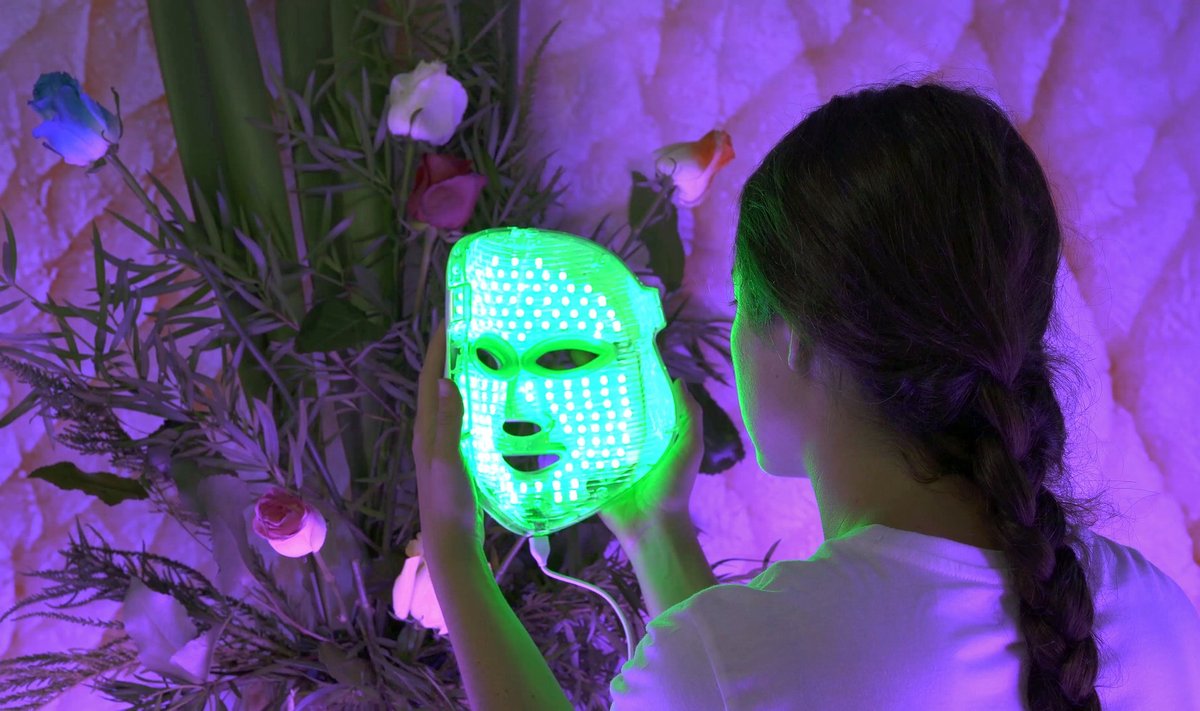Patricia Domínguez, "Eyes of Plants"