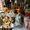 Подорожают ли овощи: какой урожай соберут фермеры Эстонии и ожидать ли нам резкого роста цен?