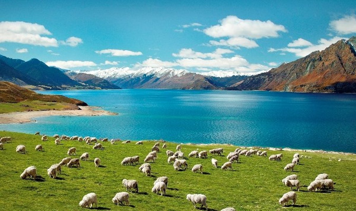 Uus-Meremaa pastoraalne idüll