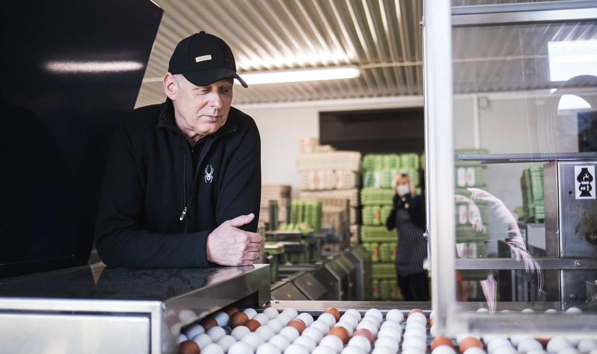 Andres Puksov on taastanud Sanlind OÜ munatootmise ja munadepühade eel pakuvad poed neis "Kodutalu" kaubamärgi all.