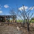 DELFI FOTOD: Jõgevamaal hävis tules ema ja tema nelja lapse kodu, peavarju pakuvad naabrid