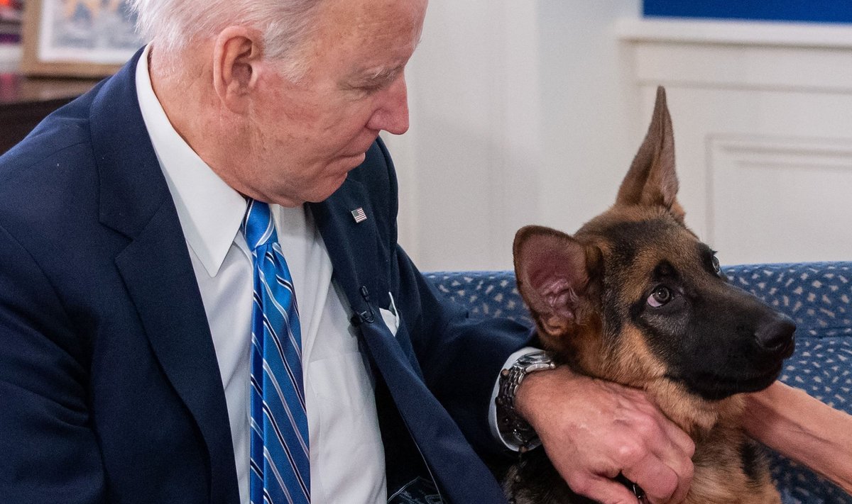 President Joe Biden koer Commanderiga