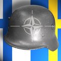 НАТО беспокоят внеплановые военные учения России