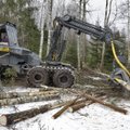 Metsanduse maksumuudatused tooks riigikassasse aastas 15,5 miljonit eurot