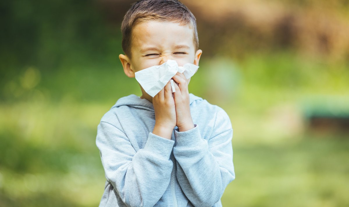 Õietolmu allergia on lapse jaoks väga tüütu.