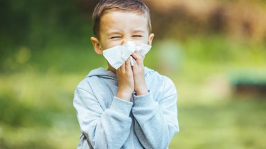 Lasteallergoloog: ekslikult arvatakse, et lastel õietolmuallergiat ei esine. Kuidas teha vahet, kas lapsel on lihtsalt nohu või allergia?