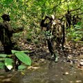 Rootsi safarikorraldajat süüdistatakse Kesk-Aafrika Vabariigis mõrvades