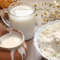 Vigala Sass: kõhuhädade korral tuleb piimast ja juustust loobuda
