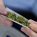 Kaks USA osariiki kiitsid rahvahääletusel heaks marihuaana seadustamise