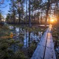 National Geographic: как съездить в Эстонию на пару дней — и не захотеть возвращаться домой