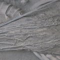 В Китае найден древний скелет в "саване" из конопли
