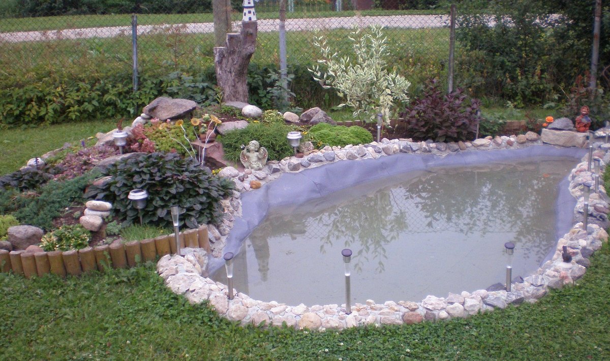 Fotovõistlus "Minu kodu suvel": Mando basseiniga aed