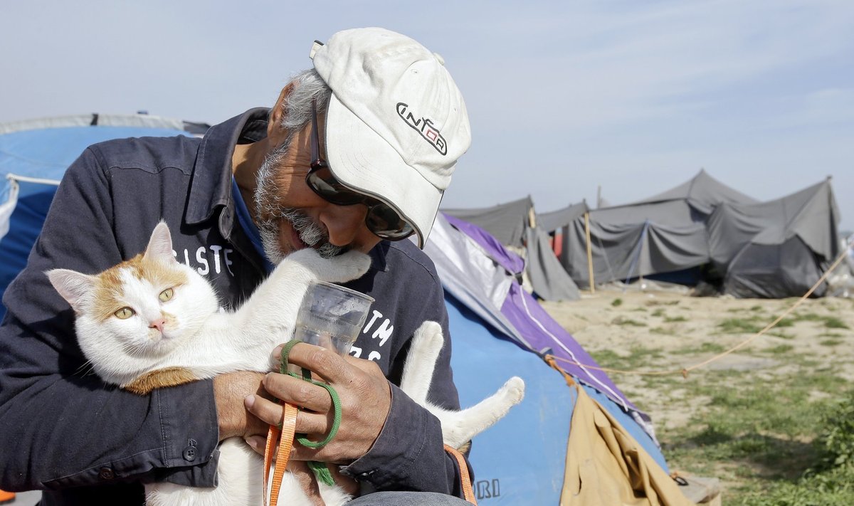 Damaskusest pärit Ali Abdud pages Süüria sõja eest Kreekasse koos kassi Taboushiga. Nüüd ootavad nad edasipääsu Makedoonia piiri äärses põgenikelaagris.
