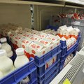 Eesti taotleb Euroopa Komisjonilt piimakvootide ületamise tasu kaotamist
