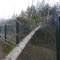 FOTOD | Oktoobritormiga piiritarale langenud puud tekitasid ligi 10 000 euro suuruse kahju