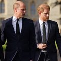 Harry ja Meghan lahkuvad Londonist kuningliku perega leppimata: paaril soovitatakse usalduse võitmiseks intervjuudest loobuda
