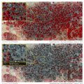 FOTOD: Satelliidipildid näitavad Boko Harami hävitustöö ulatust Nigeerias