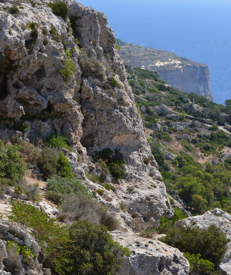 Taimed on Maltal roninud ka kõige kivisematele saare nurkadele.
