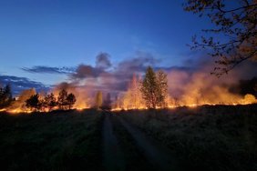 FOTOD | Virumaa ägab metsapõlengute all: üks sai kustutatud, kui juba algas järgmine 
