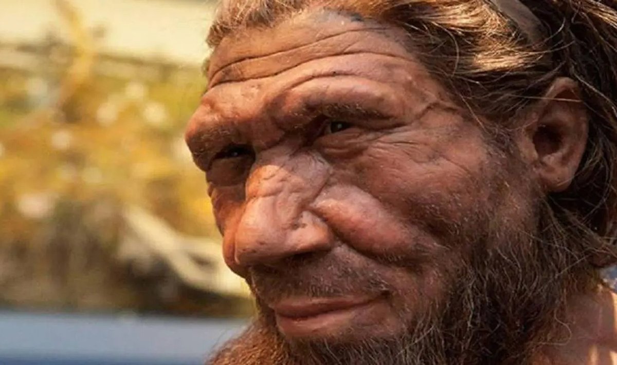 Neandertaallane