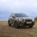 PROOVISÕIT: Uuema näoga Subaru Forester